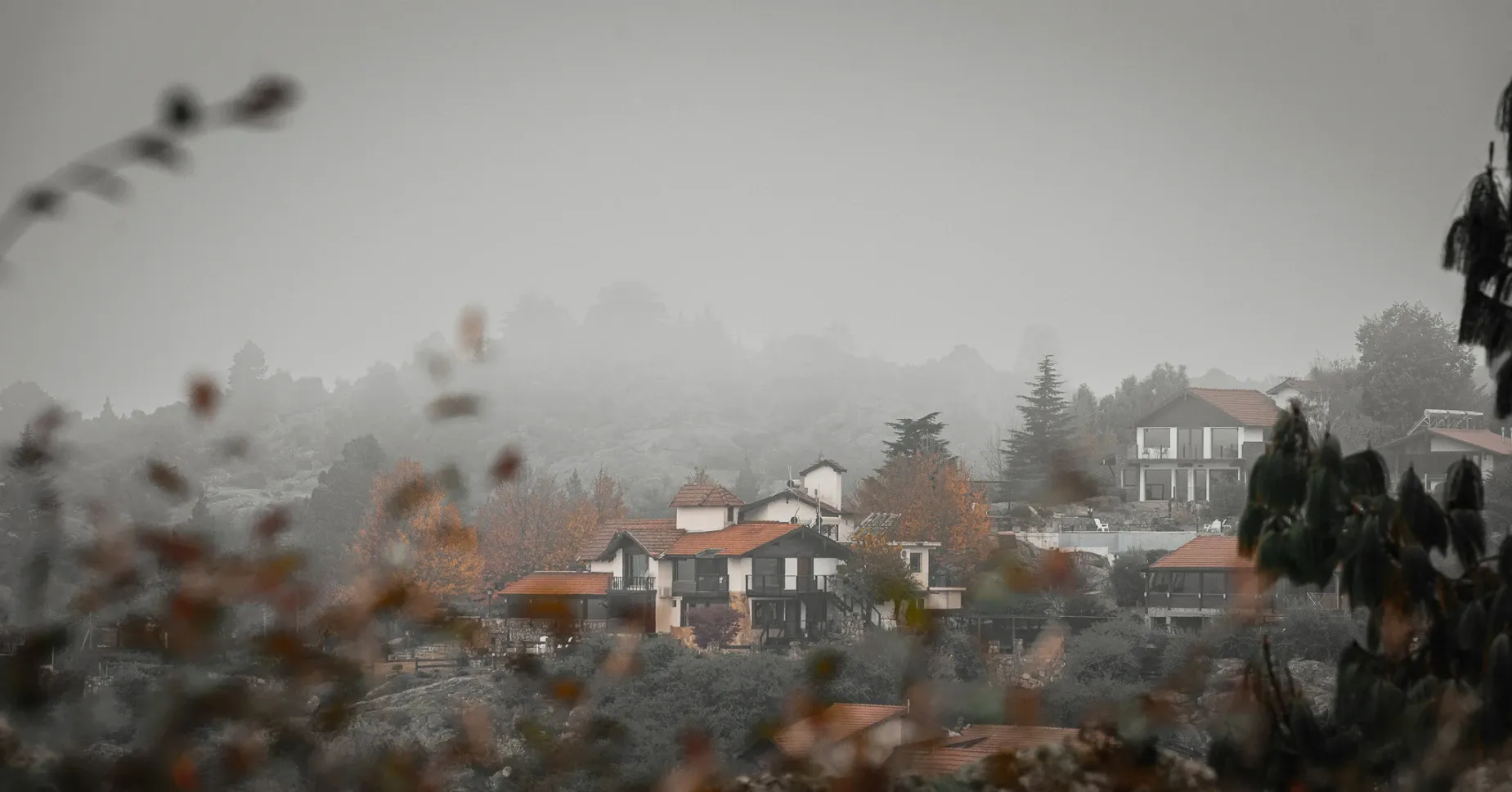 Paisaje de montaña 12