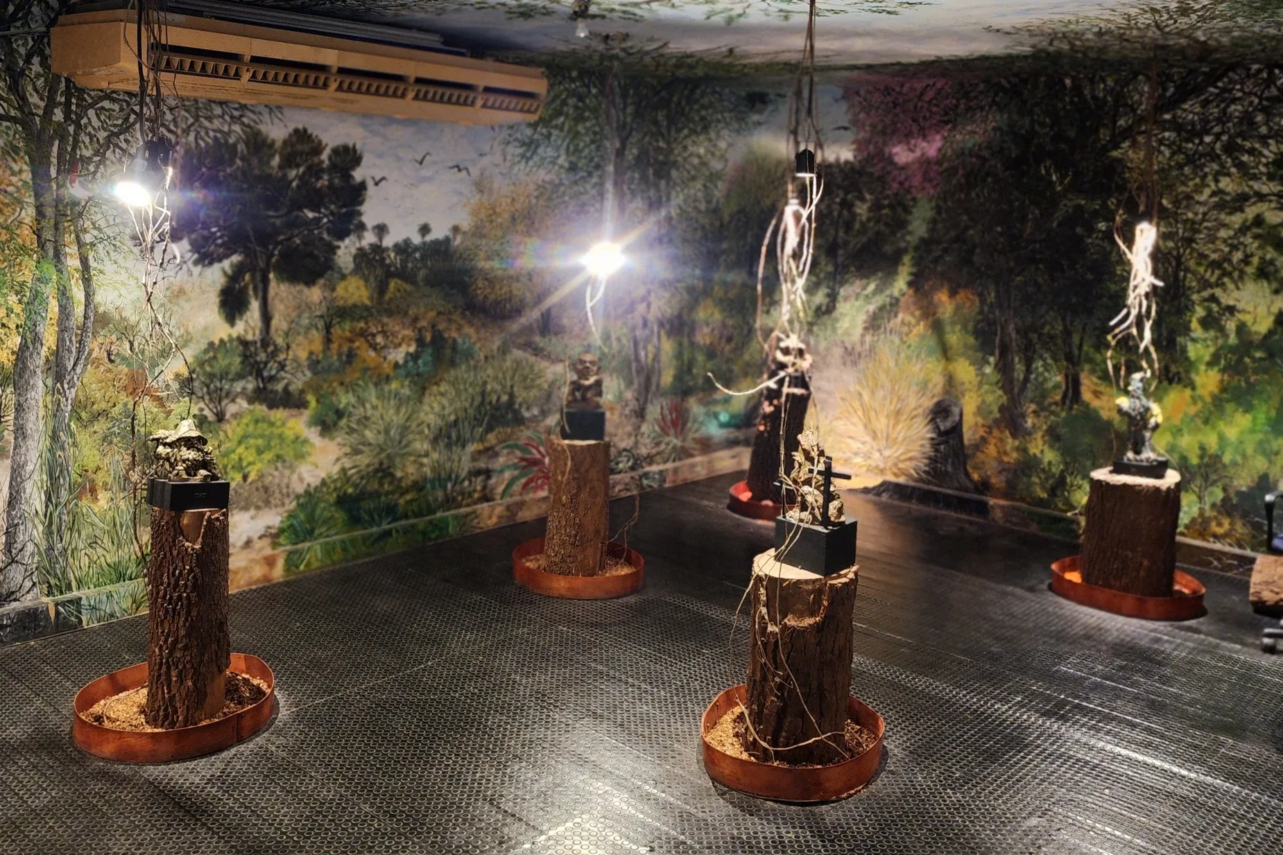 Paisaje de montaña 8