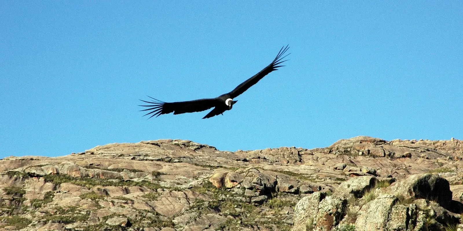 Paisaje de montaña 5