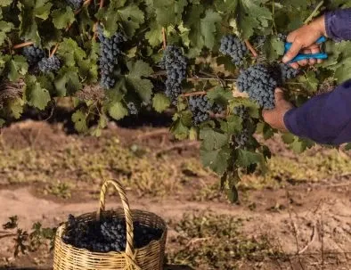 Paisaje de montaña 5