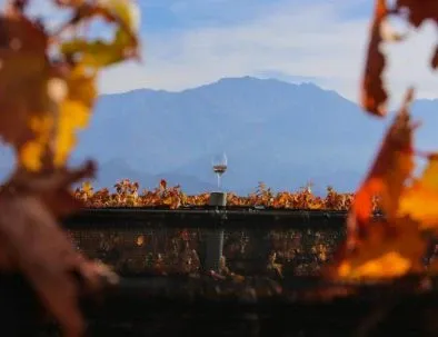 Paisaje de montaña 8