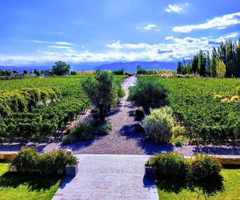 Paisaje de montaña 20