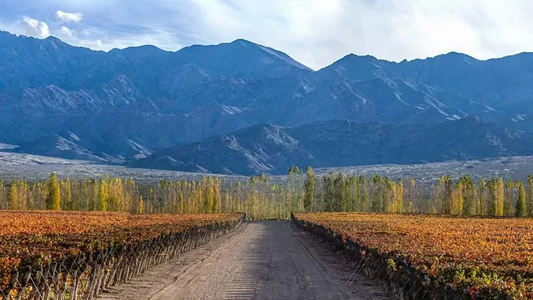 Paisaje de montaña 14