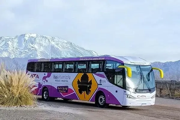 Paisaje de montaña 14