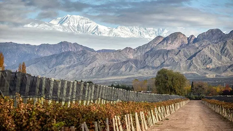 Paisaje de montaña 1