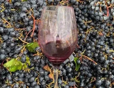 Paisaje de montaña 6