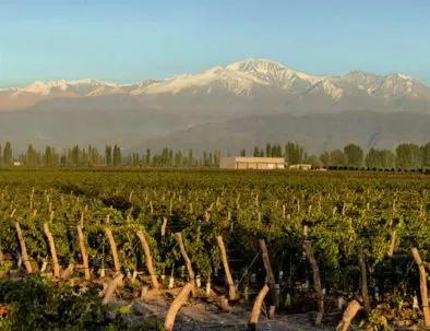 Paisaje de montaña 7