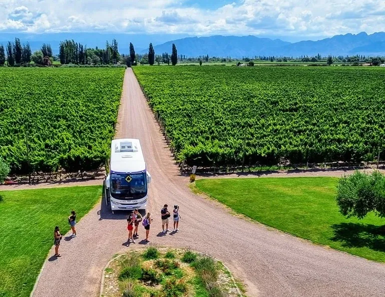 Paisaje de montaña 19