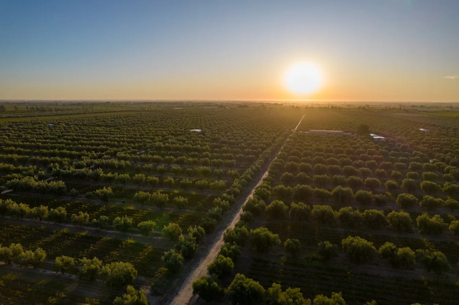 Paisaje de montaña 10