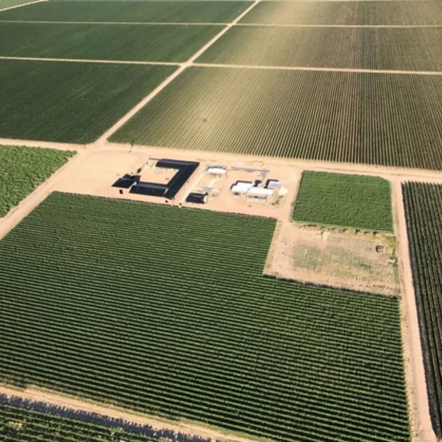 Paisaje de montaña 5