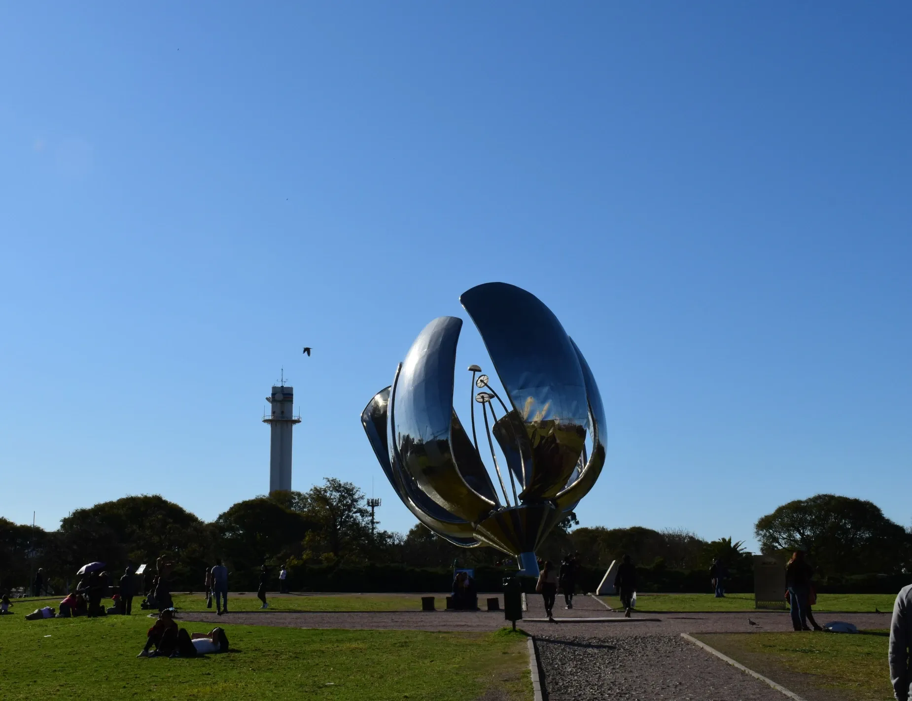 Paisaje de montaña 11