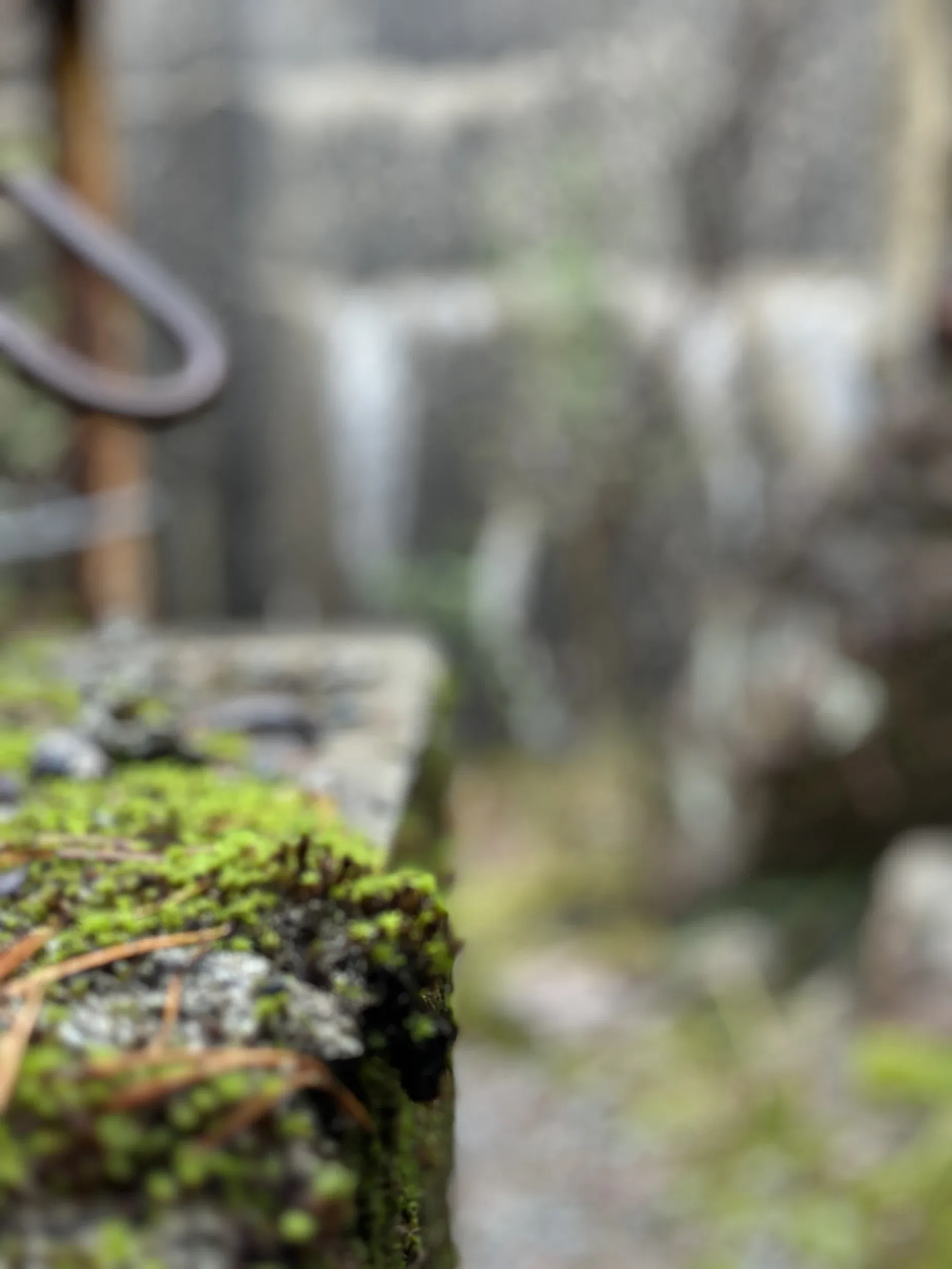 Paisaje de montaña 7