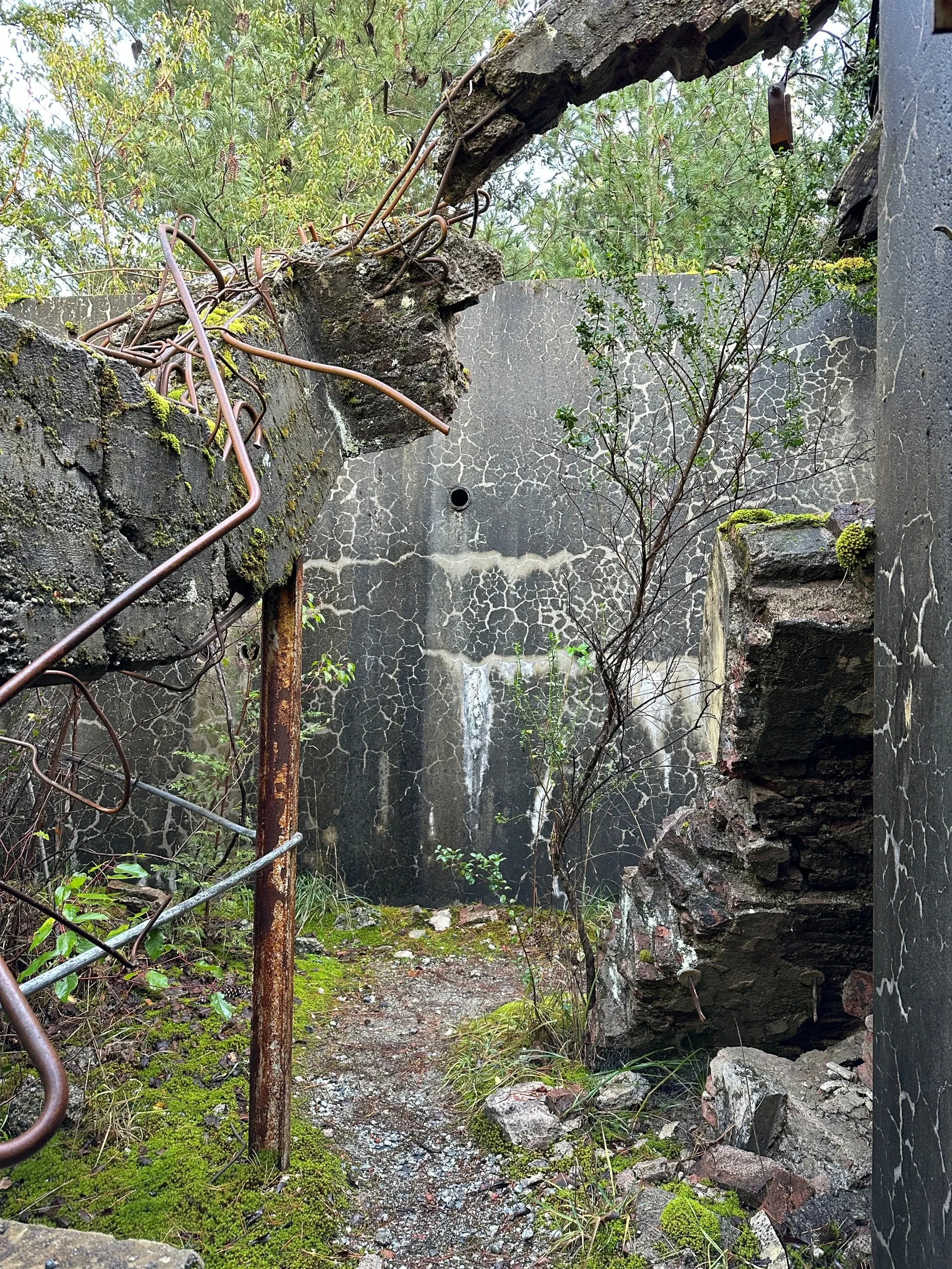 Paisaje de montaña 9