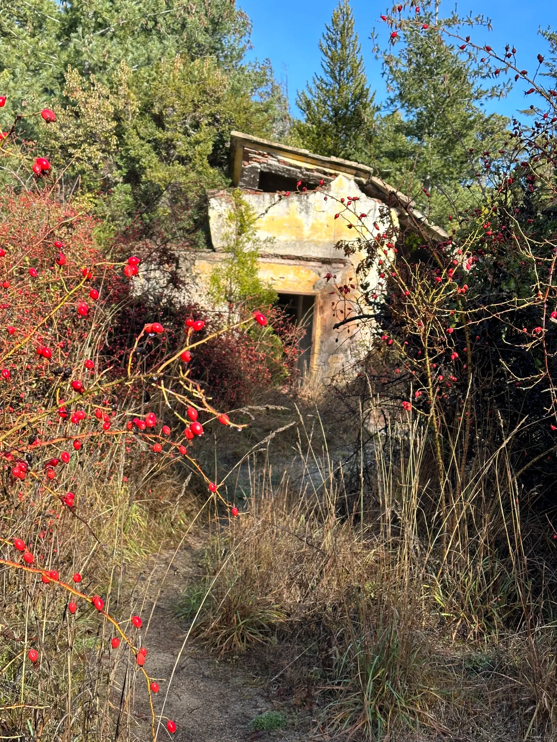 Paisaje de montaña 8