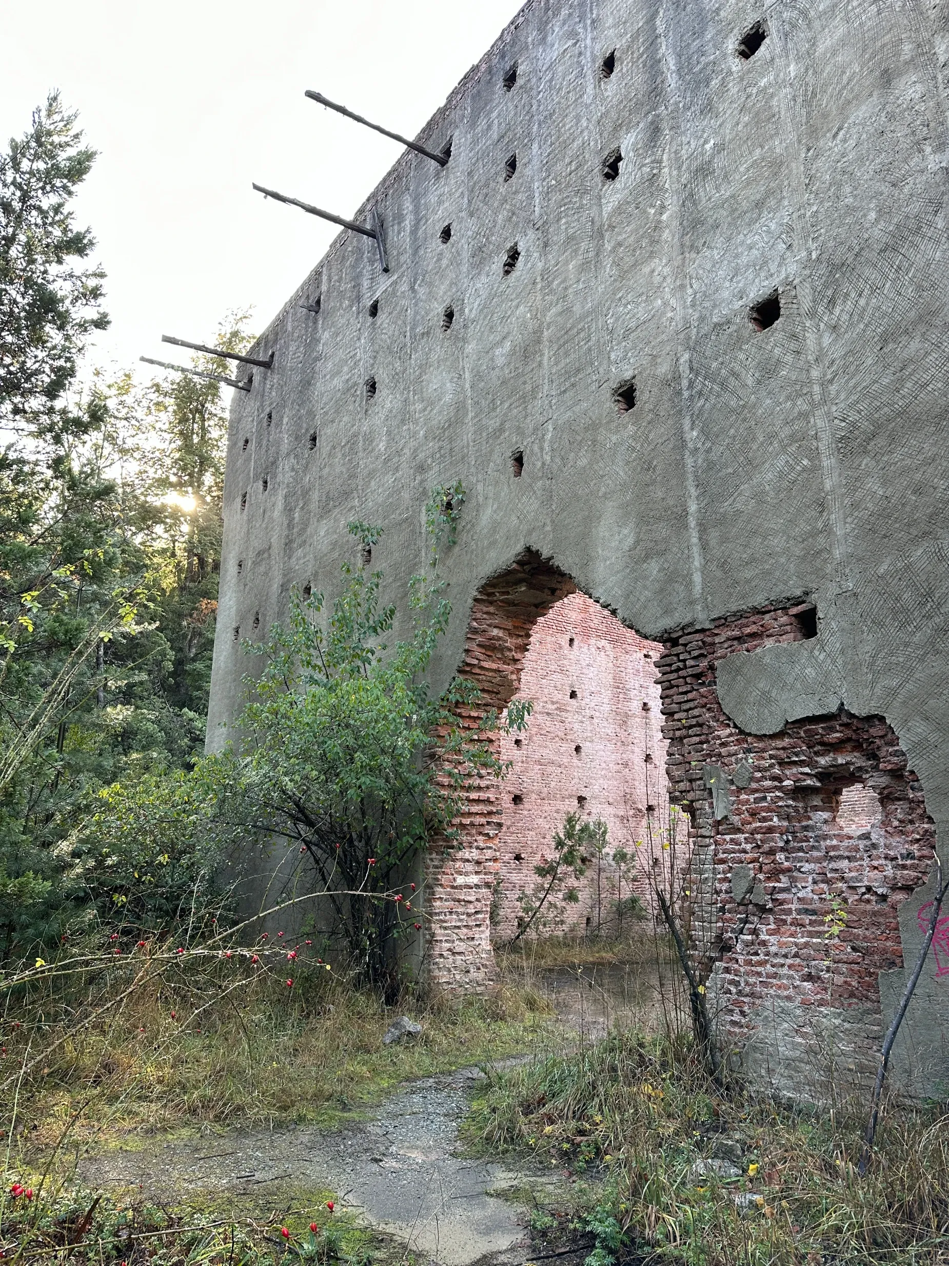 Paisaje de montaña 10