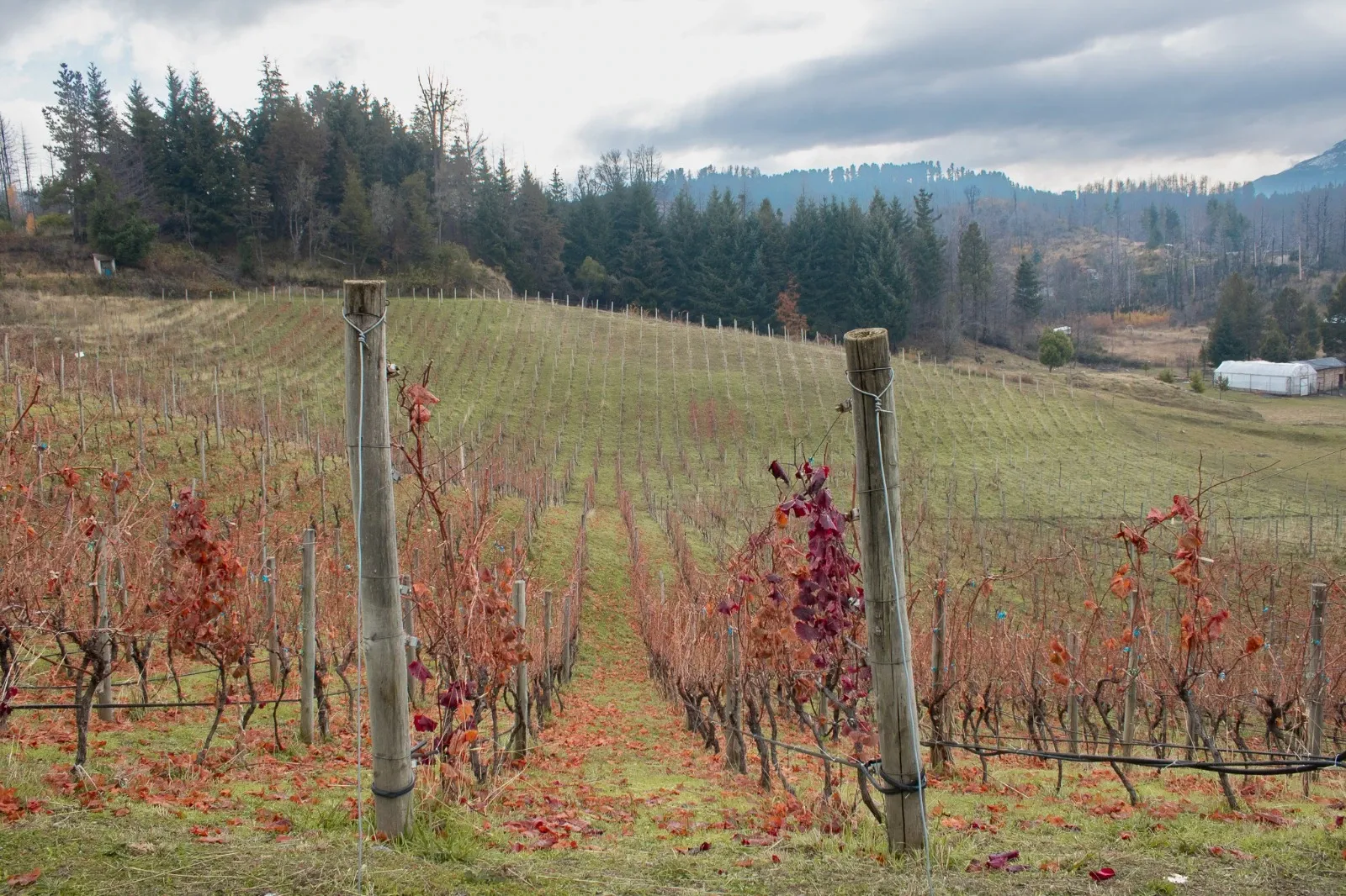 Paisaje de montaña 8