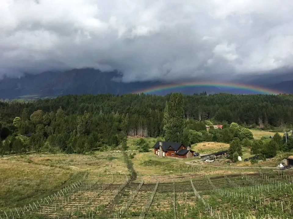 Paisaje de montaña 13