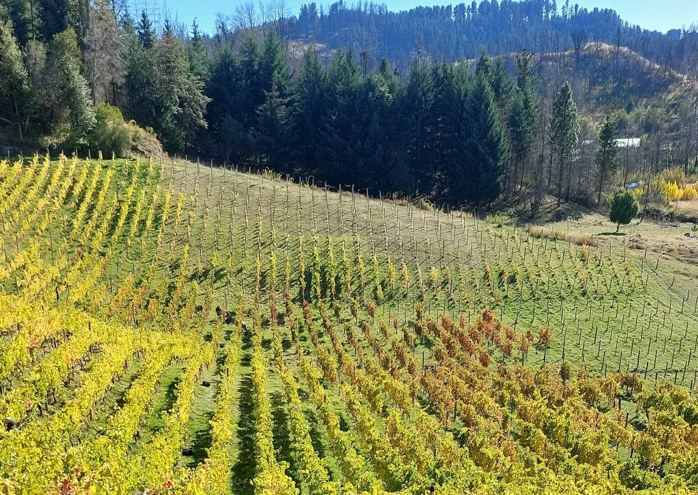 Paisaje de montaña 16