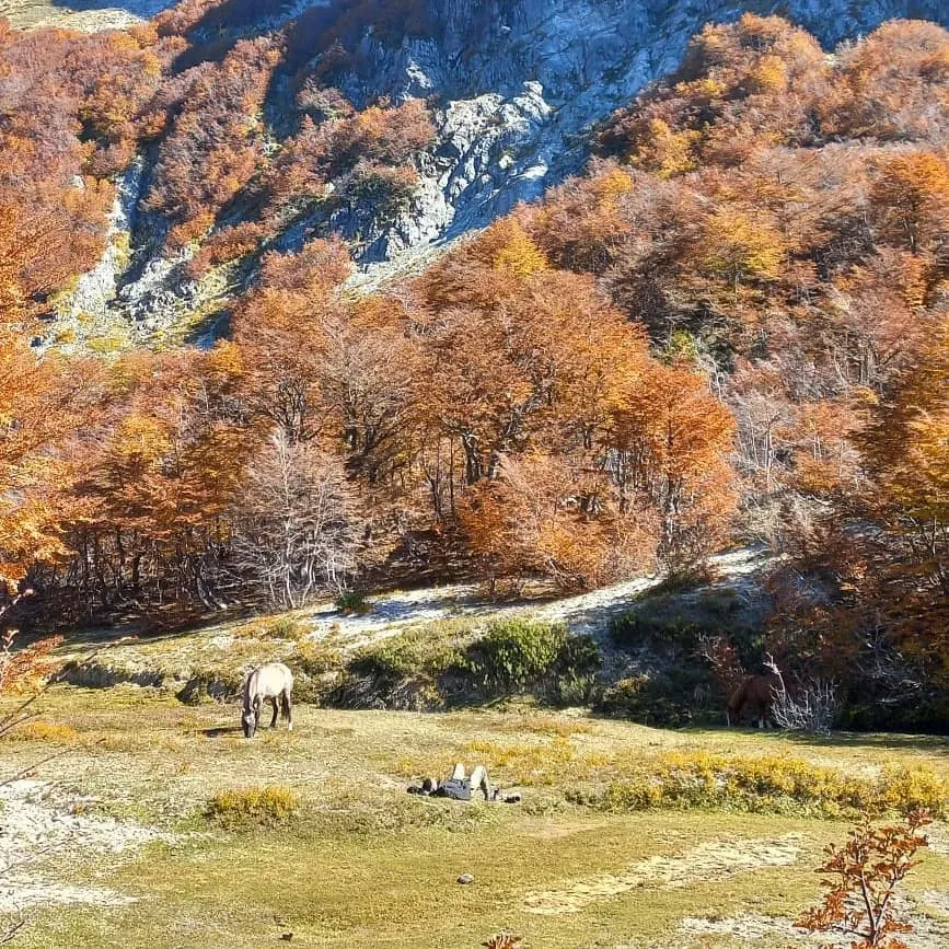 Paisaje de montaña 4