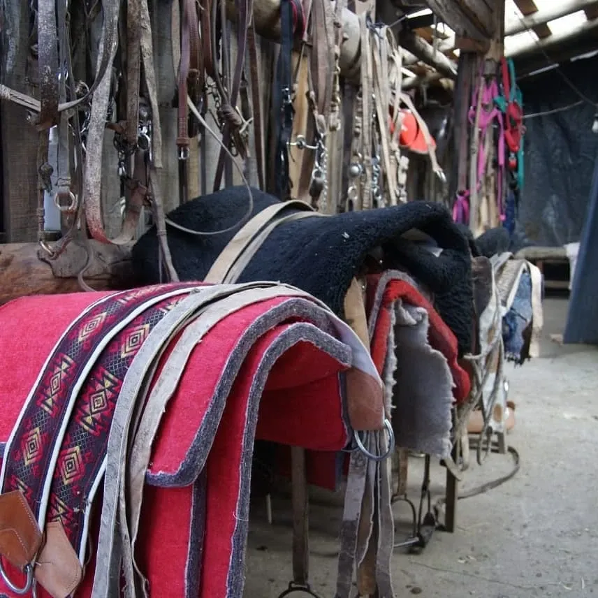 Paisaje de montaña 6