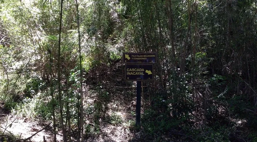 Paisaje de montaña 11