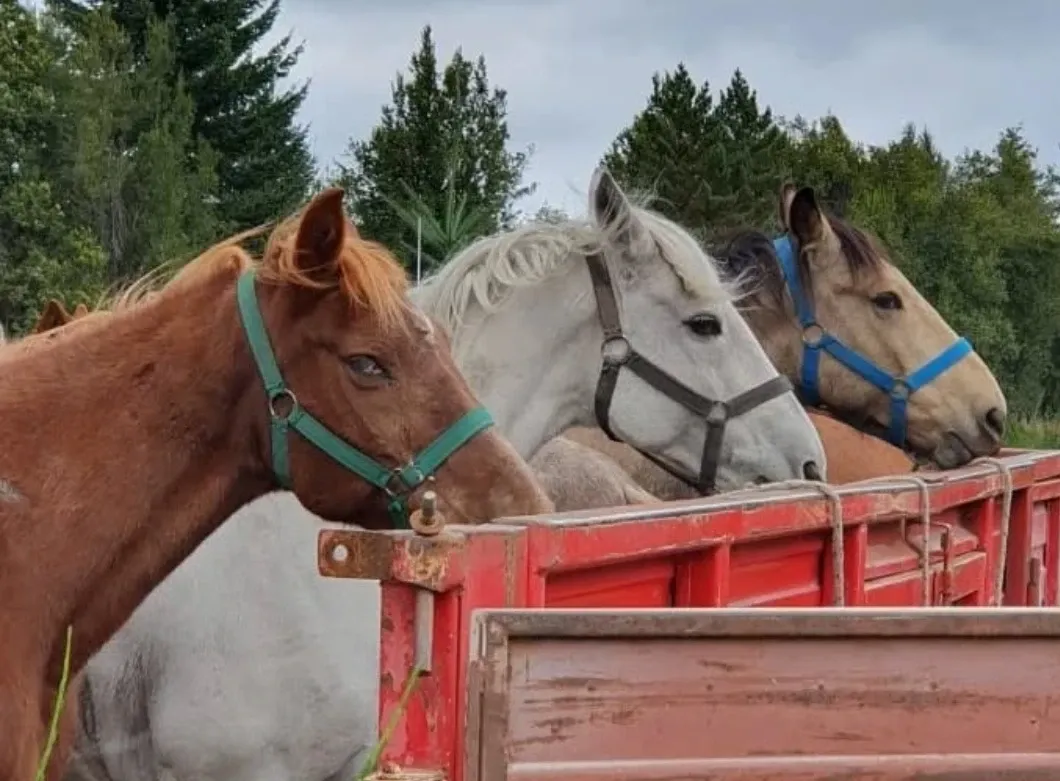 Paisaje de montaña 6