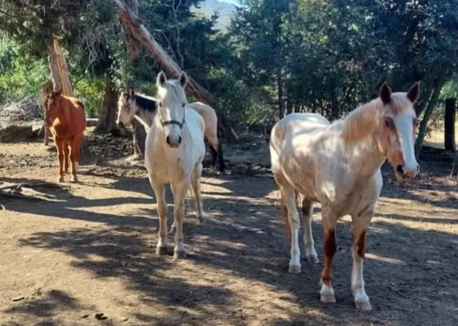 Paisaje de montaña 4