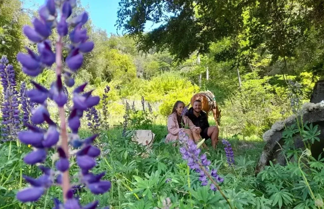 Paisaje de montaña 7