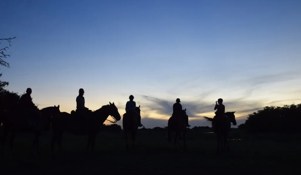 Paisaje de montaña 1