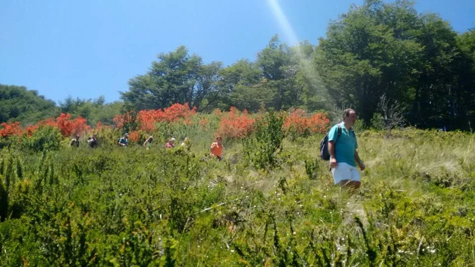 Paisaje de montaña 4