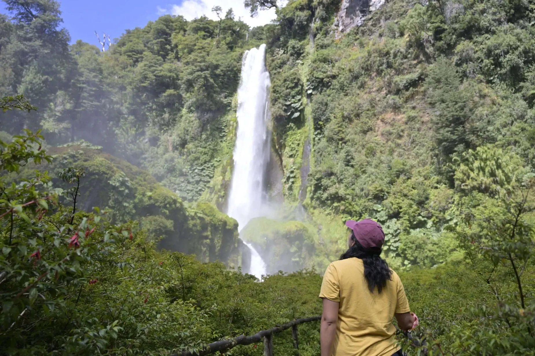 Paisaje de montaña 8