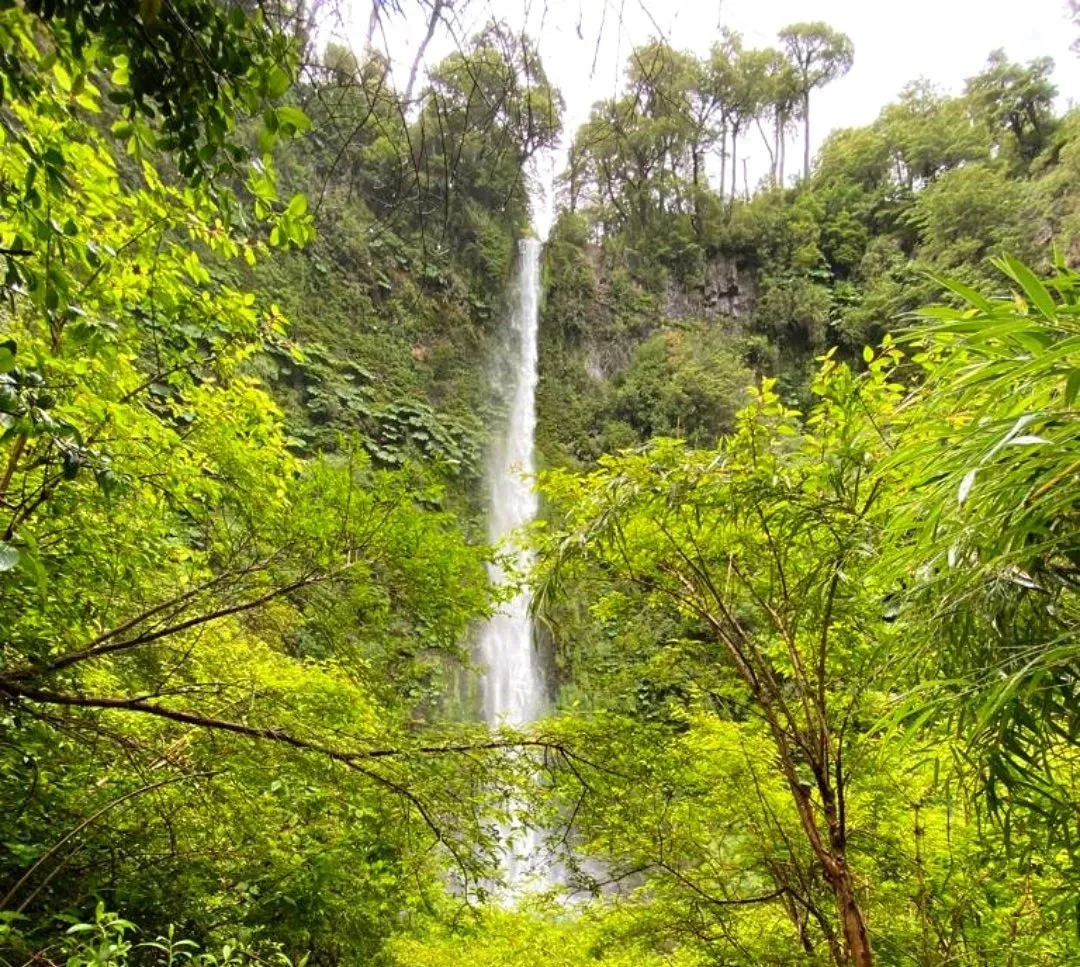 Paisaje de montaña 9