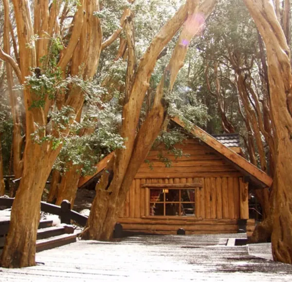 Paisaje de montaña 5