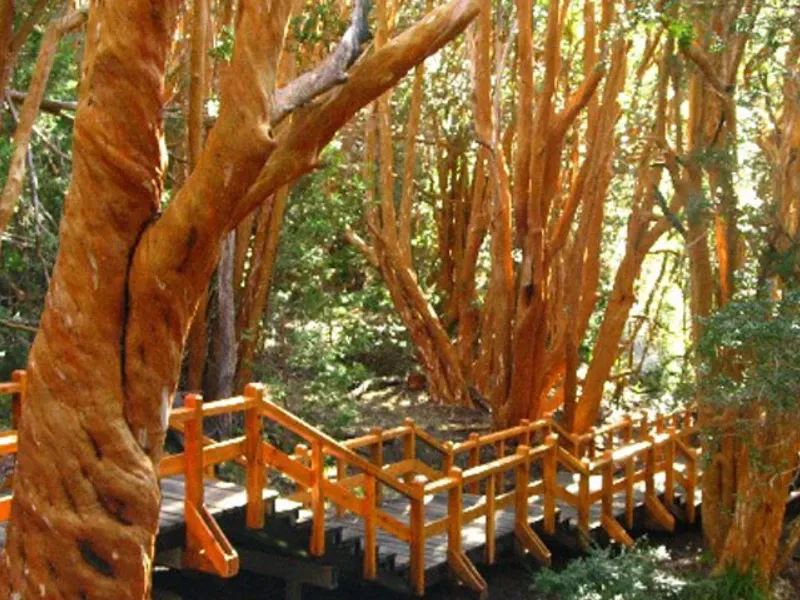 Paisaje de montaña 11