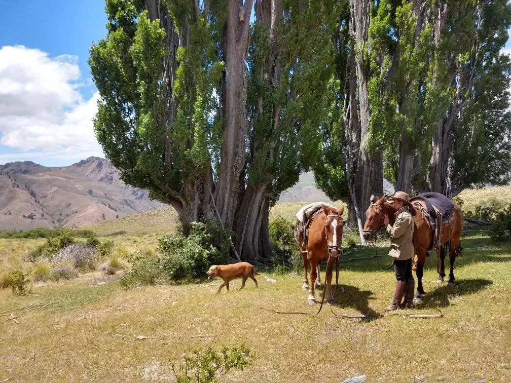 Paisaje de montaña 4