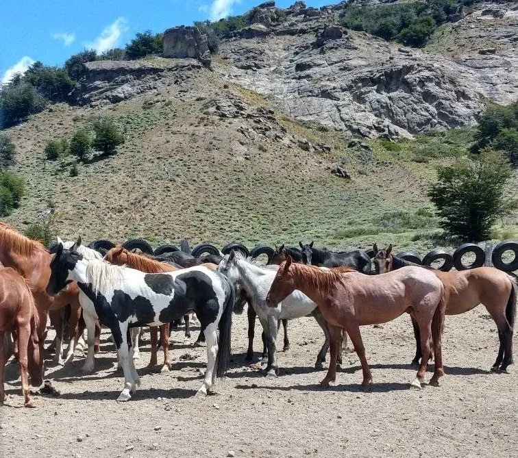 Paisaje de montaña 6