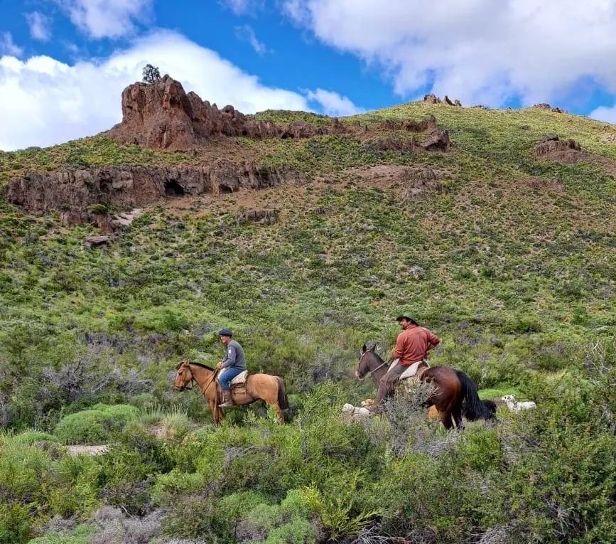Paisaje de montaña 9