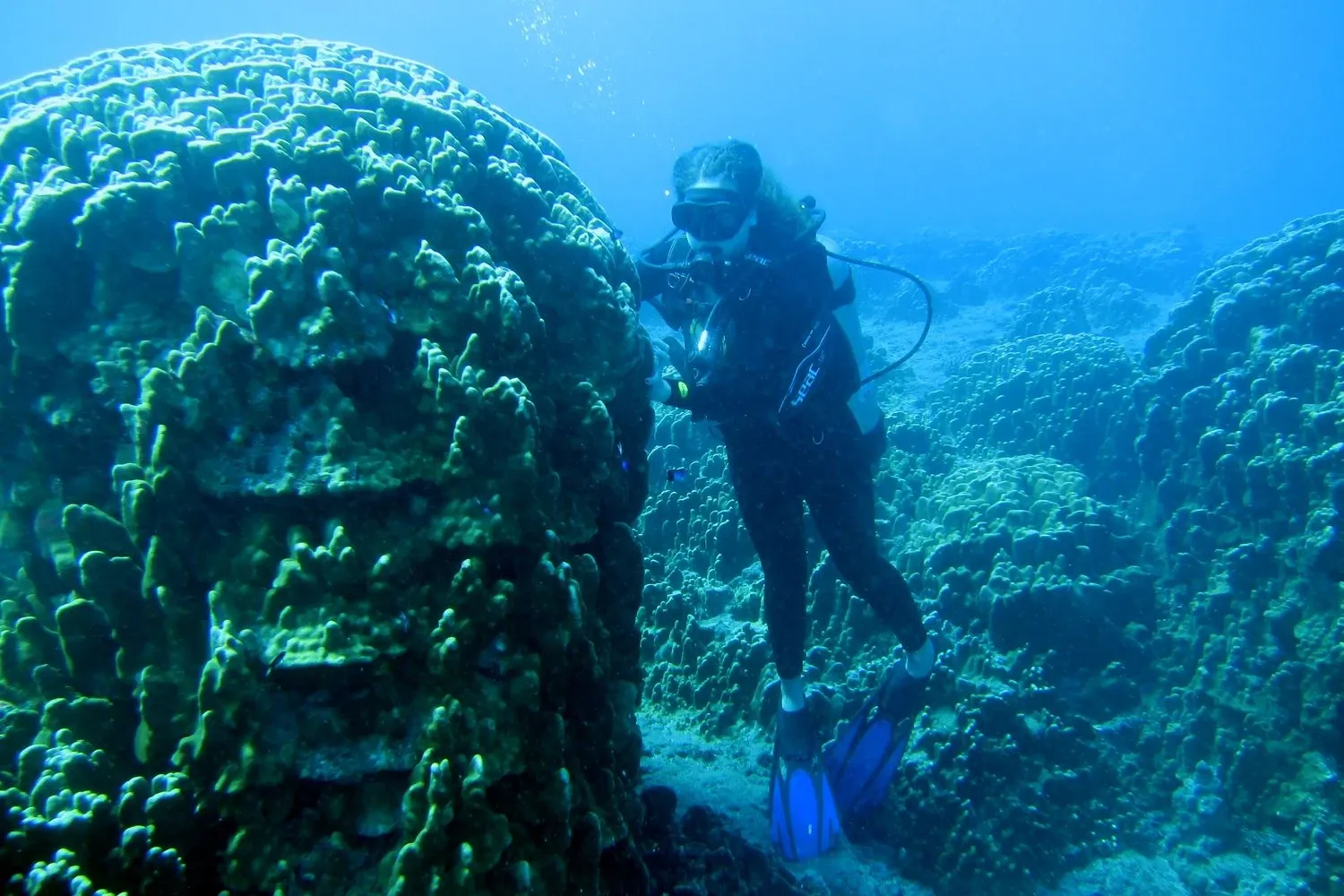 Paisaje de montaña 9