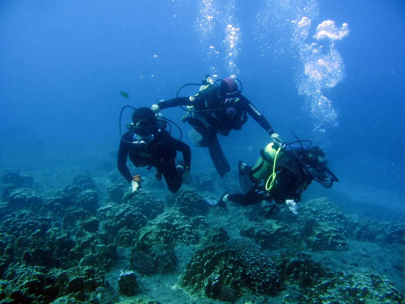 Paisaje de montaña 6