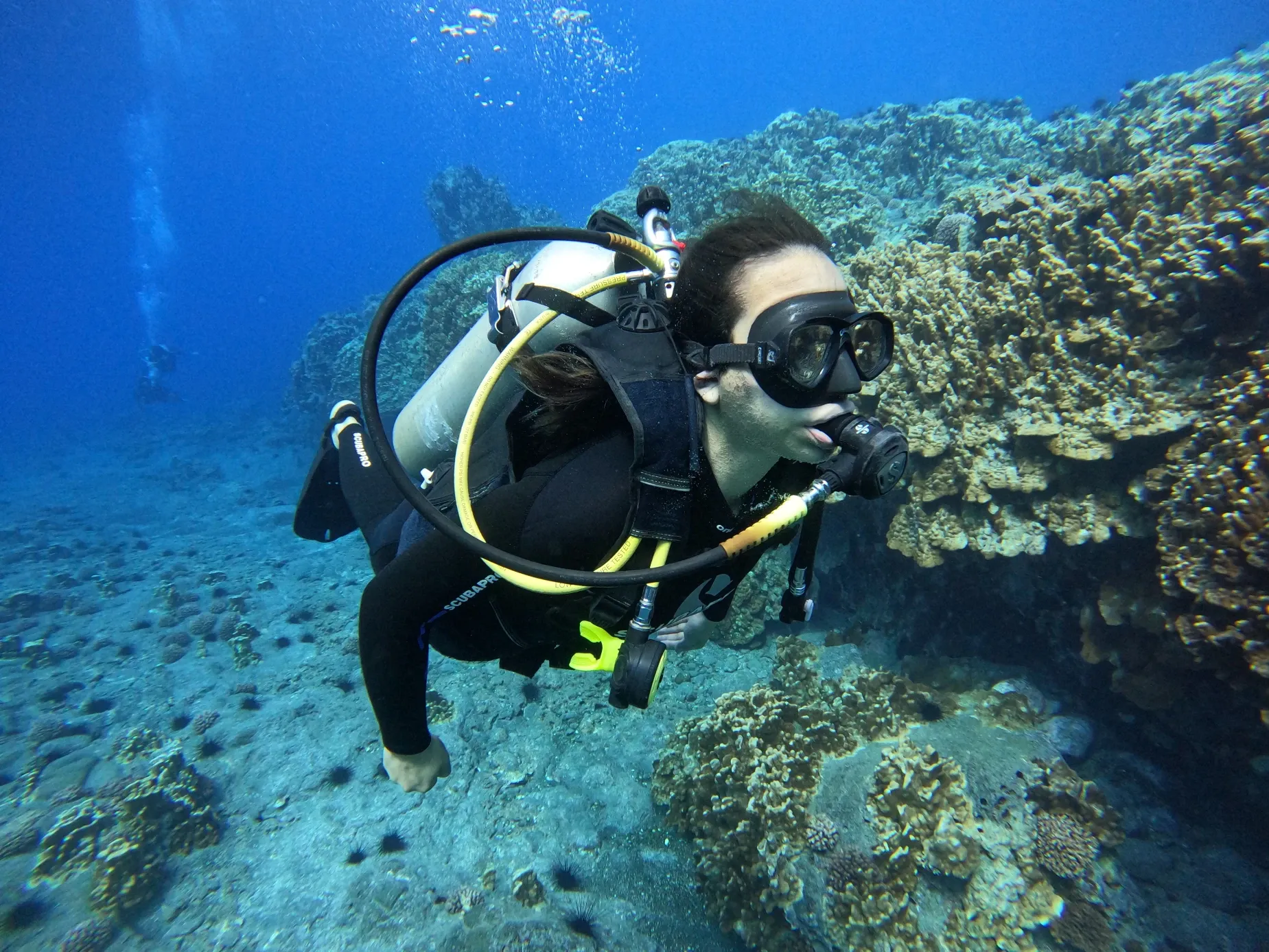 Paisaje de montaña 9