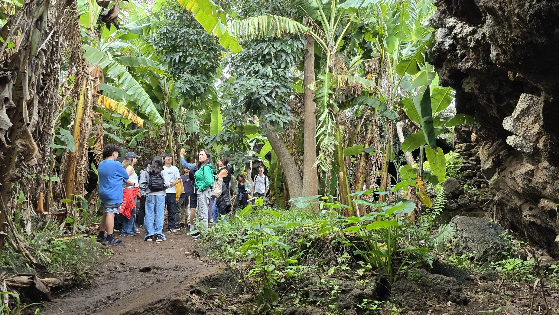 Paisaje de montaña 6