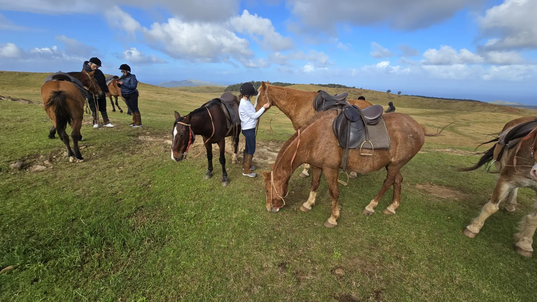 Paisaje de montaña 5