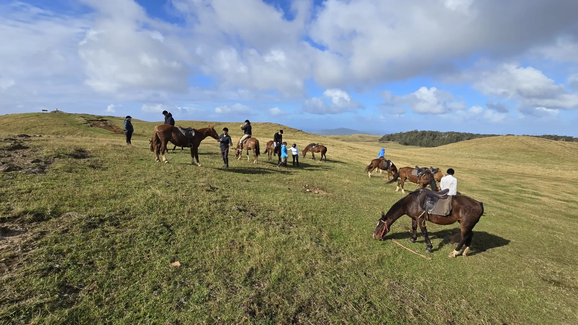Paisaje de montaña 6