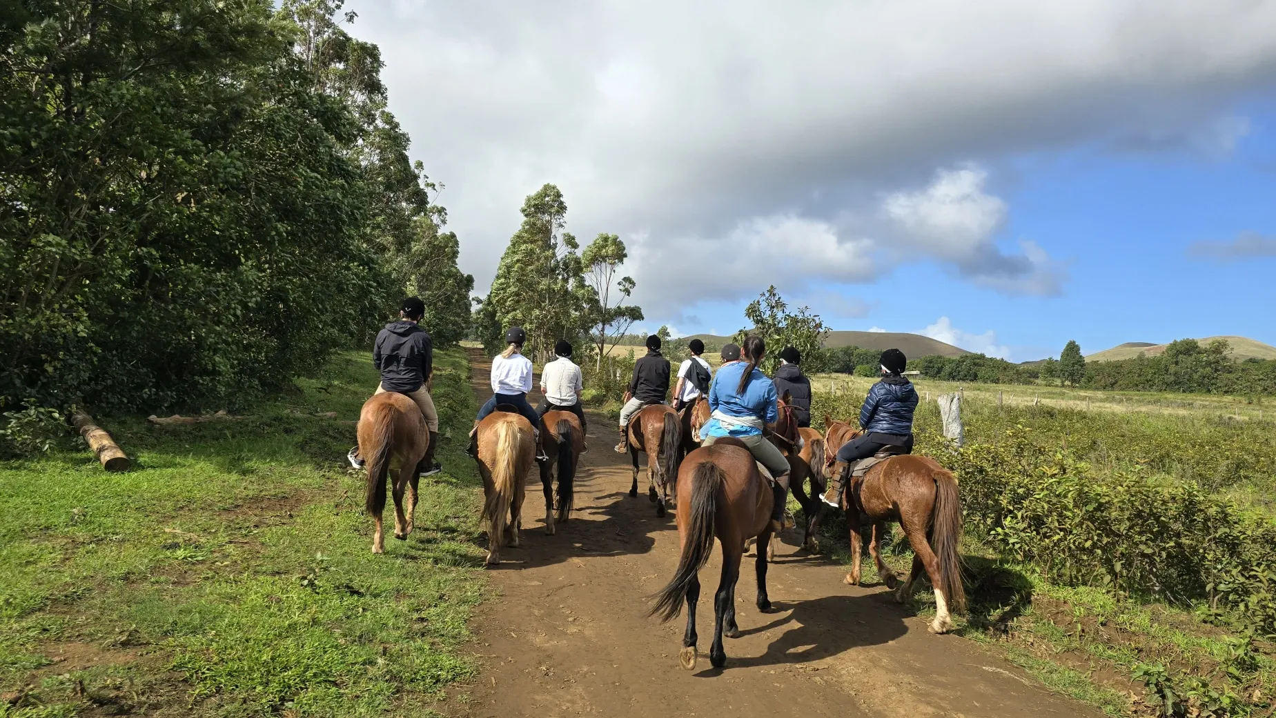 Paisaje de montaña 9