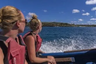 Paisaje de montaña 4