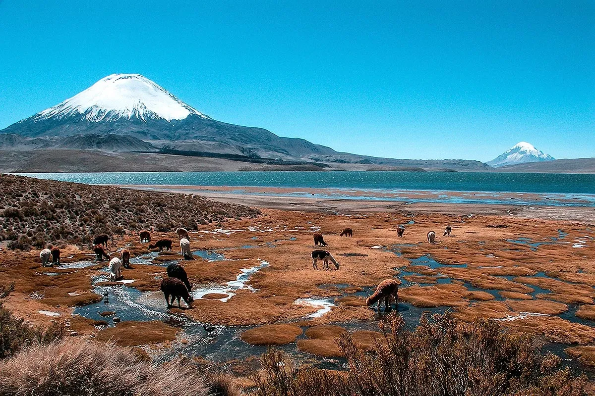 Paisaje de montaña 7