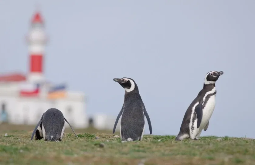 Paisaje de montaña 5