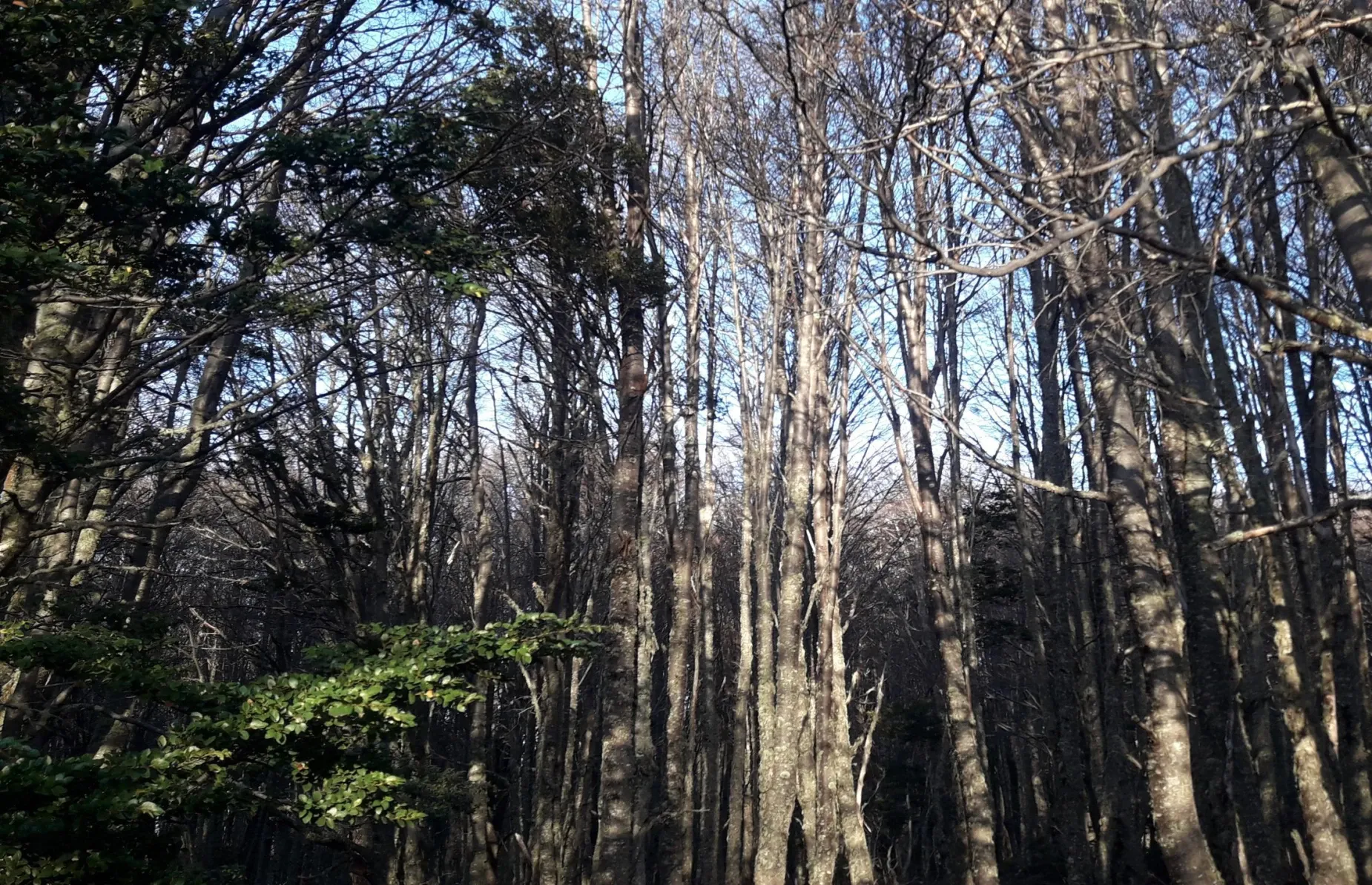 Paisaje de montaña 5