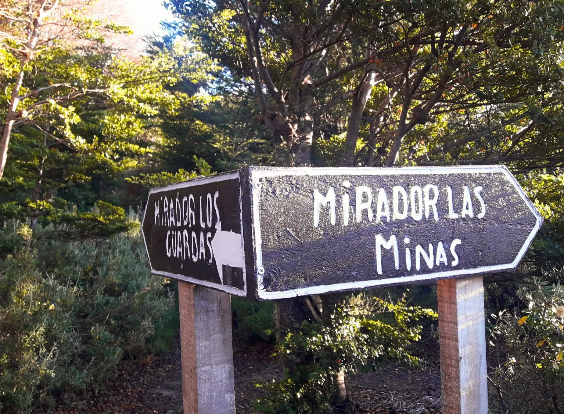 Paisaje de montaña 6