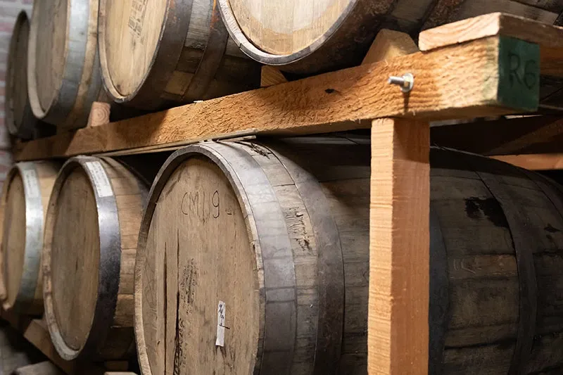 Paisaje de montaña 5